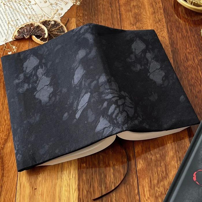 In the Shadows Large Dust Jacket  by Charlie and Fox at Abbey's Bookshop, 