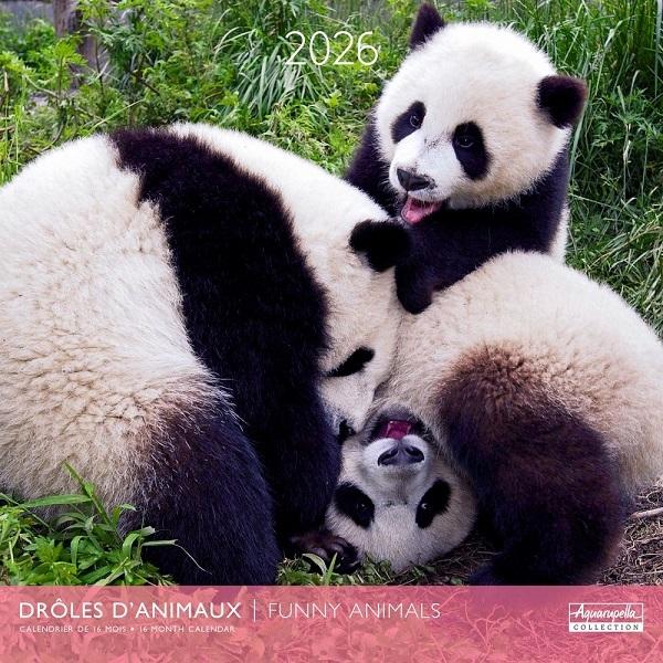 Funny Animals 2026 Calendar (30 x 30 cm)  by Vevoke at Abbey's Bookshop, 