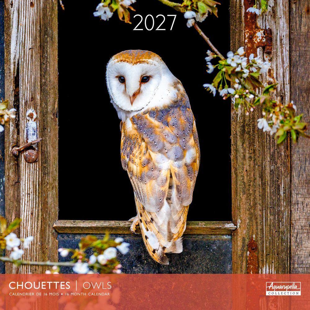 Aboriginal Art 2027 Calendar (Medium 24 x 34cm)