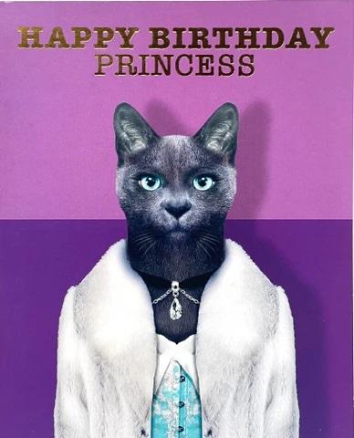 Birthday Princess Greeting Card