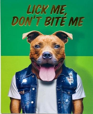 Lick Me Dont Bite Me Greeting Card