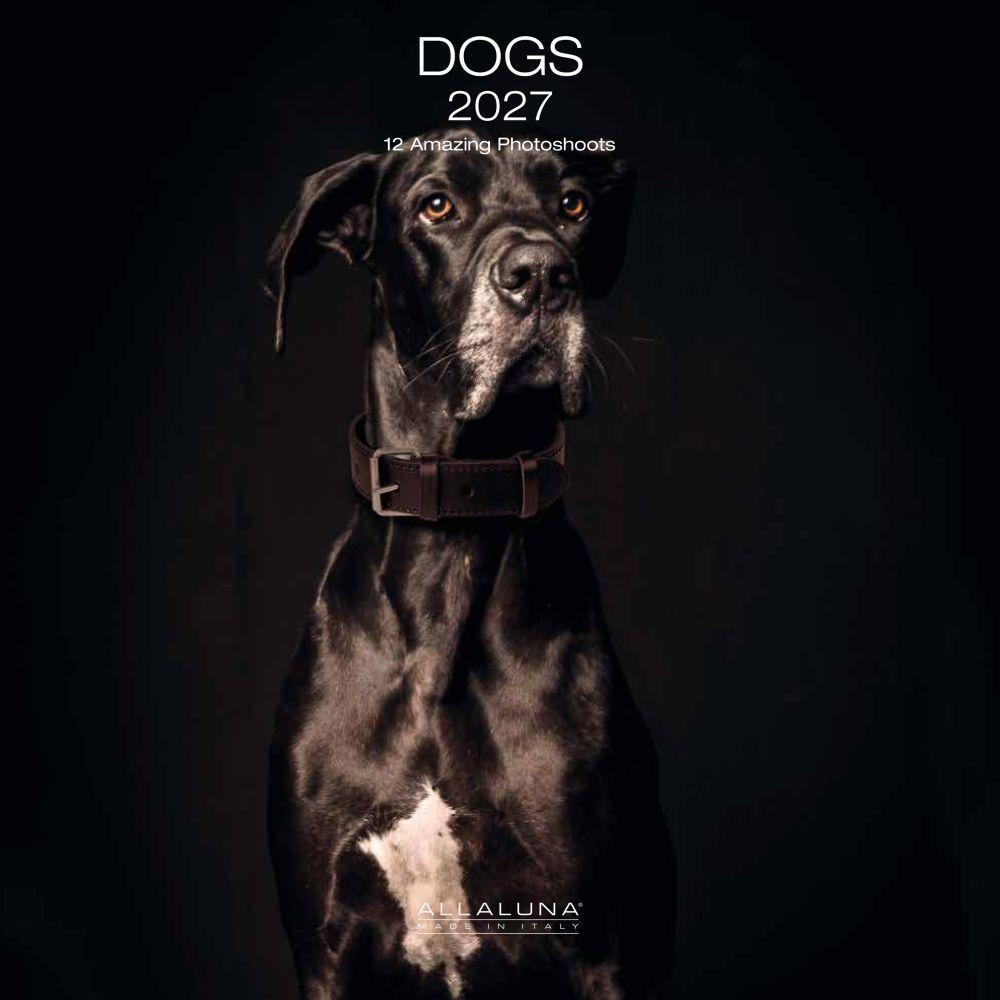 Dogs 2027 Calendar (30 x 30 cm)