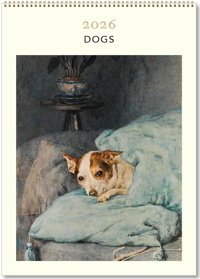 Dogs 2026 Calendar (Medium 24 x 34cm)  by Vevoke at Abbey's Bookshop, 