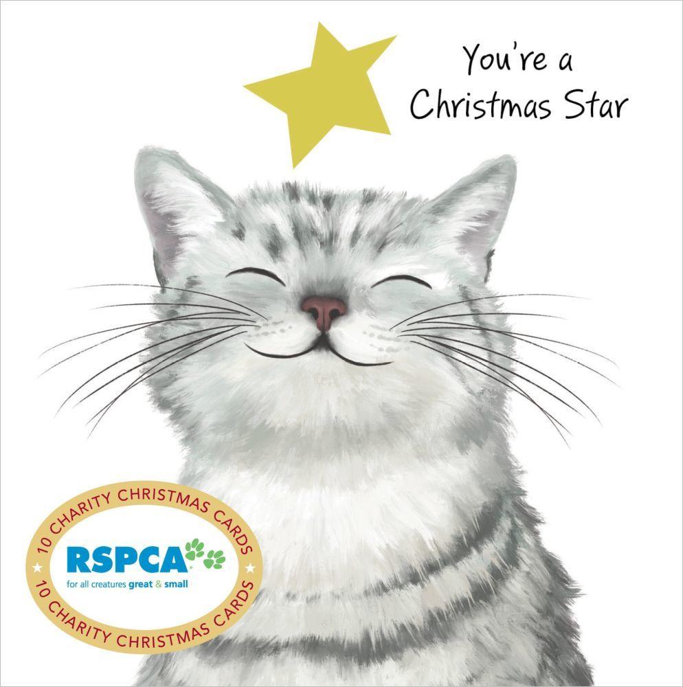 Christmas Star (10 Charity Christmas Card Pack)