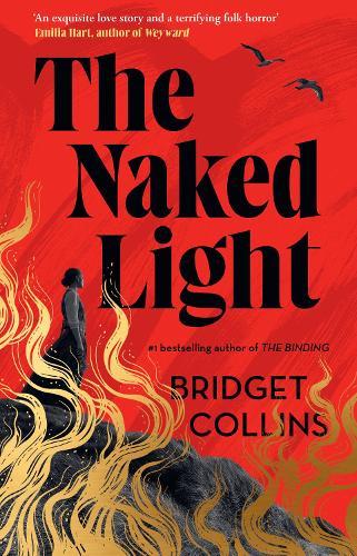 The Naked Light  by Bridget Collins at Abbey's Bookshop, 