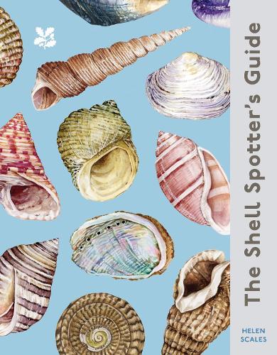 The Shell Spotter’s Guide  by Helen Scales at Abbey's Bookshop, 