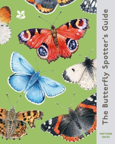A Guide to Native Bees of Australia