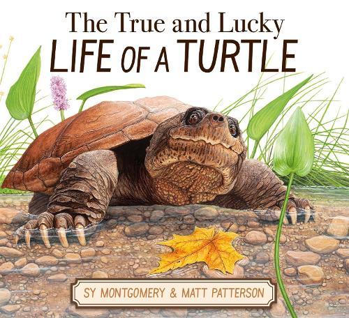 Ask Me Smarter! Language Arts, Social Studies, Science, and Math - Grade 3: Comprehensive, Curriculum-aligned Questions and Answers for 3rd Grade