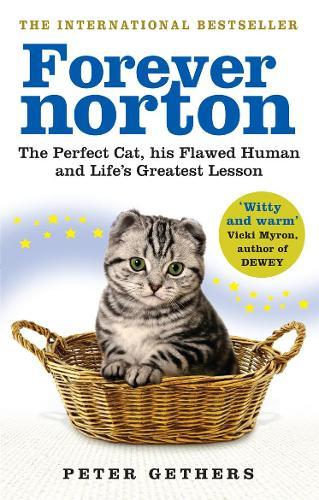 Forever Norton: The Perfect Cat, his Flawed Human and Life's Greatest Lesson  by Peter Gethers at Abbey's Bookshop, 