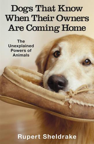 Dogs That Know When Their Owners Are Coming Home: And Other Unexplained Powers of Animals  by Rupert Sheldrake at Abbey's Bookshop, 