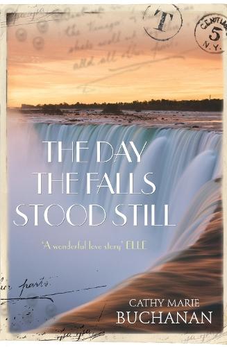 The Day the Falls Stood Still  by Cathy Marie Buchanan at Abbey's Bookshop, 