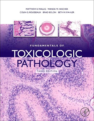 Computational Toxicology: Risk Assessment for Chemicals