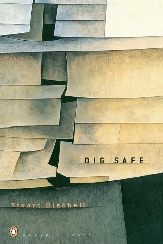 Dig Safe  by Stuart Dischell at Abbey's Bookshop, 