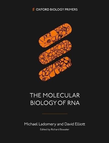 Integrative Theory of Evolution - Aspects and Insights