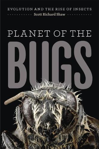 Planet of the Bugs: Evolution and the Rise of Insects  by Scott Richard Shaw at Abbey's Bookshop, 