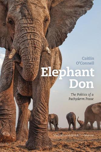 Elephant Don: The Politics of a Pachyderm Posse  by Caitlin O'Connell at Abbey's Bookshop, 