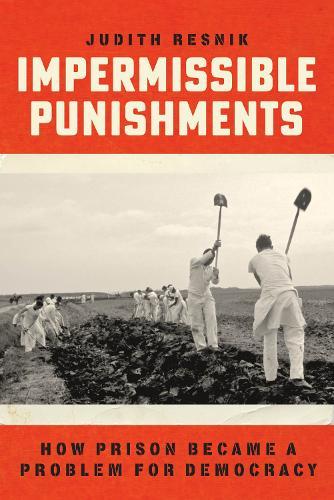 Impermissible Punishments: How Prison Became a Problem for Democracy  by Judith Resnik at Abbey's Bookshop, 