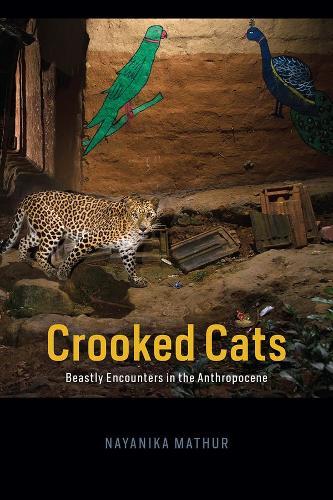 Crooked Cats: Beastly Encounters in the Anthropocene  by Nayanika Mathur at Abbey's Bookshop, 