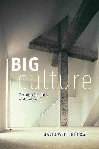 Big Culture: Toward an Aesthetics of Magnitude  by David Wittenberg at Abbey's Bookshop, 