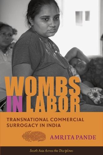 Wombs in Labor: Transnational Commercial Surrogacy in India  by Amrita Pande at Abbey's Bookshop, 