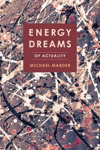 Energy Dreams: Of Actuality  by Michael Marder at Abbey's Bookshop, 