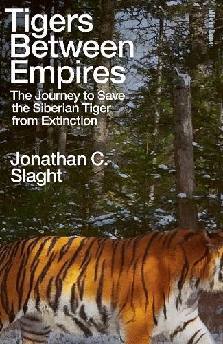 Tigers Between Empires: The Journey to Save the Siberian Tiger from Extinction  by Jonathan C. Slaght at Abbey's Bookshop, 