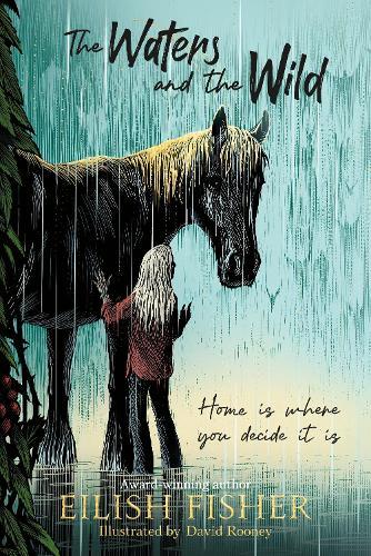 The Waters and the Wild  by Eilish Fisher at Abbey's Bookshop, 