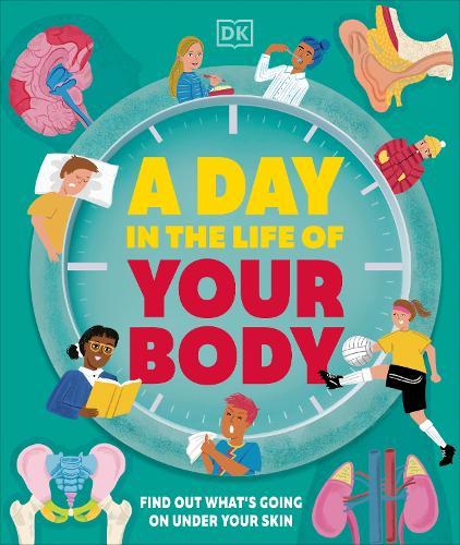 A Day in the Life of Your Body: Find Out What's Going on Under Your Skin  by DK at Abbey's Bookshop, 