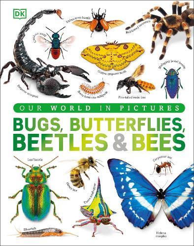 Our World in Pictures Bugs, Butterflies, Beetles and Bees  by DK at Abbey's Bookshop, 