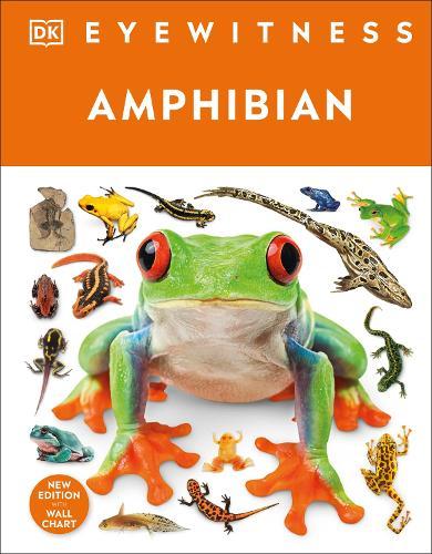 Eyewitness Amphibian  by DK at Abbey's Bookshop, 