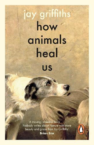 How Animals Heal Us  by Jay Griffiths at Abbey's Bookshop, 