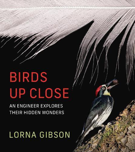 Birds Up Close: An Engineer Explores Their Hidden Wonders  by Lorna Gibson at Abbey's Bookshop, 