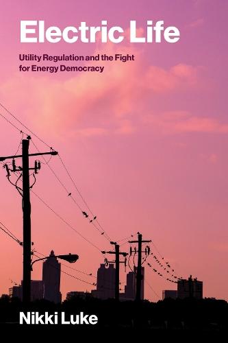 Electric Life: Utility Regulation and the Fight for Energy Democracy  by Nikki Luke at Abbey's Bookshop, 