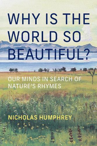 Why Is the World So Beautiful?: Our Minds in Search of Nature's Rhymes  by Nicholas Humphrey at Abbey's Bookshop, 