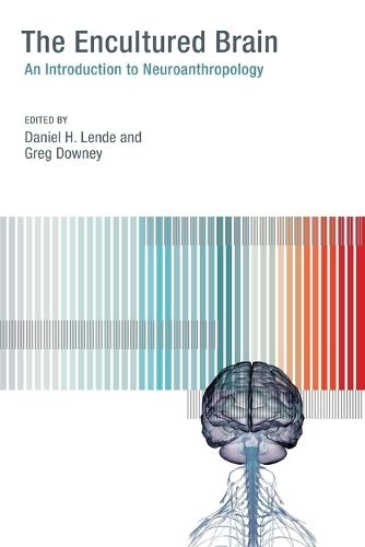 The Encultured Brain: An Introduction to Neuroanthropology  by Daniel H. Lende (Associate Professor, University of South Florida) at Abbey's Bookshop, 
