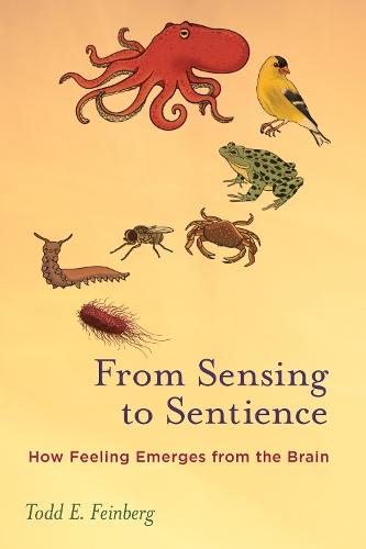 From Sensing to Sentience: How Feeling Emerges from the Brain  by Todd E. Feinberg at Abbey's Bookshop, 