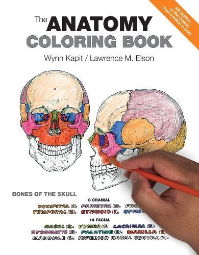 Anatomy Coloring Book, The  by Wynn Kapit at Abbey's Bookshop, 