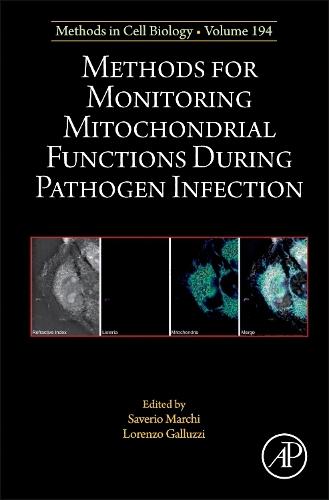 Methods for Monitoring Mitochondrial Functions During Pathogen Infection