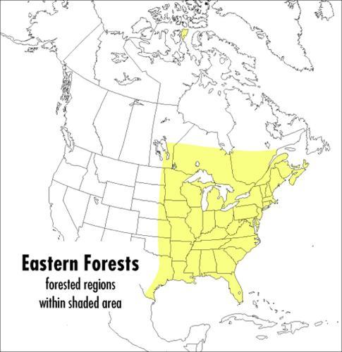 Field Guide to Eastern Forests  by John C. Kricher at Abbey's Bookshop, 