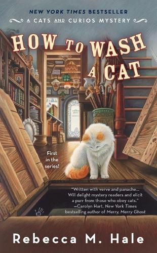 How to Wash a Cat  by Rebecca M. Hale at Abbey's Bookshop, 