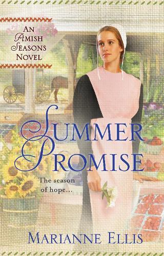 Summer Promise  by Marianne Ellis at Abbey's Bookshop, 