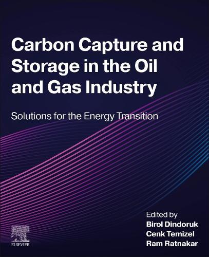 Carbon Capture and Storage in the Oil and Gas Industry: Solutions for the Energy Transition