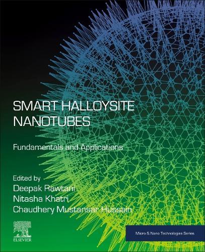 Smart Halloysite Nanotubes: Fundamentals and Applications  by Deepak Rawtani (Associate Professor, School of Pharmacy, National Forensic Sciences University, Gandhinagar, Gujarat, India) at Abbey's Bookshop, 