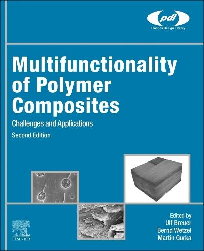 Multifunctionality of Polymer Composites: Challenges and Applications  by Ulf Breuer (Scientific Managing Director, Leibniz Institute for Composite Materials (IVW), Germany) at Abbey's Bookshop, 