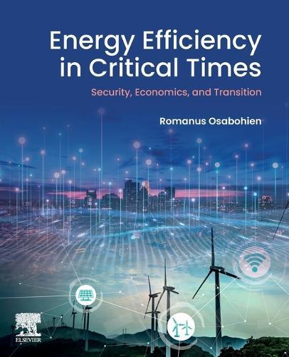 Energy Efficiency in Critical Times: Security, Economics, and Transition  by Romanus Osabohien (Lecturer and Research Fellow, Covenant University, Nigeria) at Abbey's Bookshop, 