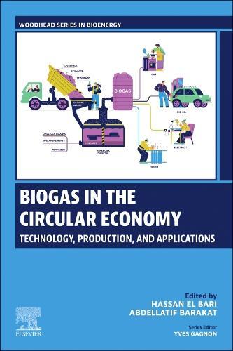 Biogas in the Circular Economy: Technology, Production, and Applications  by Hassan El Bari (Professor, Ibn Tofail University, Morocco) at Abbey's Bookshop, 
