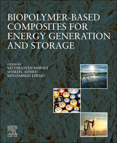 Biopolymer-based Composites for Energy Generation and Storage  by Satyaranjan Bairagi (Postdoctoral Researcher, ETH Zurich, Switzerland) at Abbey's Bookshop, 