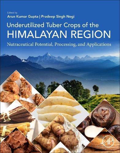The Cocoa and Chocolate Industry: The Tree; The Bean; The Beverage