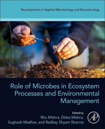Le microbiome des plantes sauvages améliore la qualité et la productivité des cultures