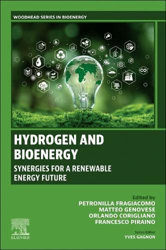 Sustainable Development of Renewable Energy: Volume 2: Opportunities in Production, Storage, and Integration